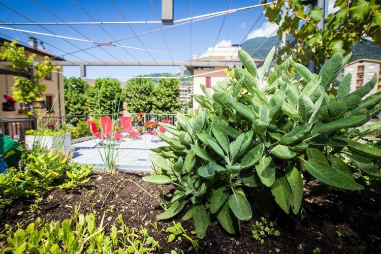 B&B Panemiele Sondrio Exteriér fotografie